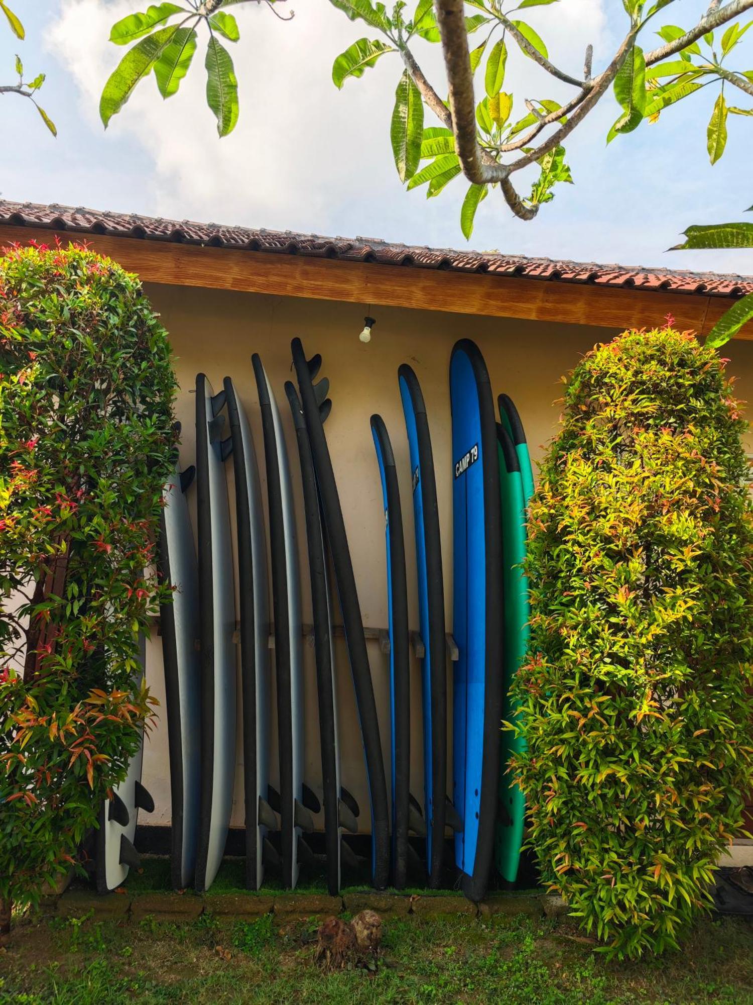 Surf Camp 79 Kuta (Lombok) Exterior foto