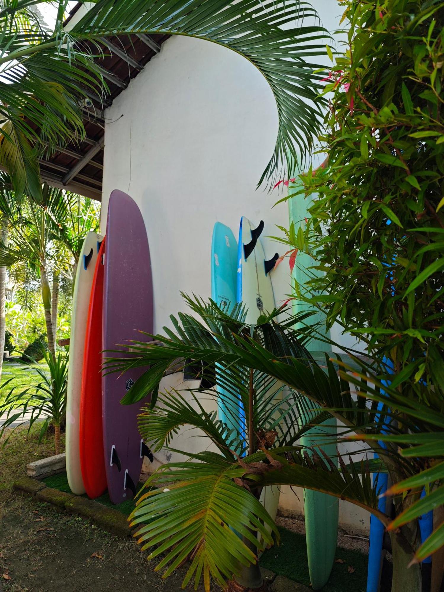 Surf Camp 79 Kuta (Lombok) Exterior foto